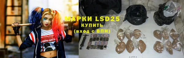 a pvp Новозыбков