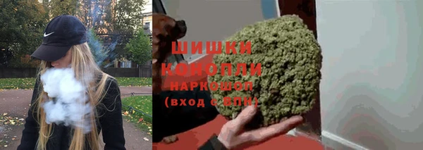 a pvp Новозыбков