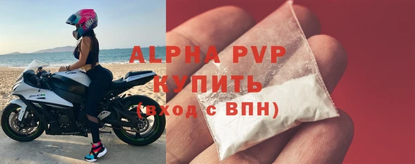 a pvp Новозыбков