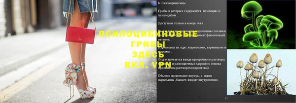 a pvp Новозыбков