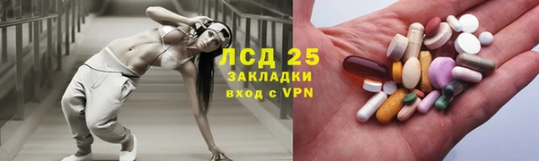 a pvp Новозыбков