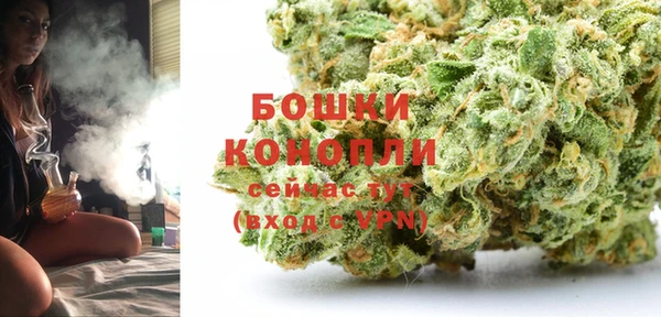 a pvp Новозыбков