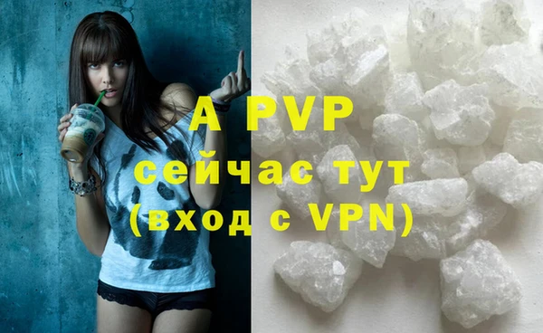 a pvp Новозыбков