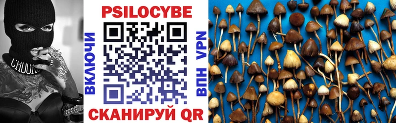 Галлюциногенные грибы Magic Shrooms  Кола 
